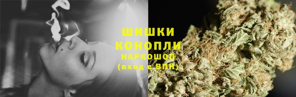 сатива Мегион