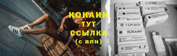 стаф Нягань