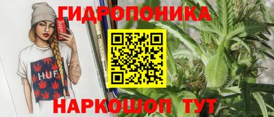 крисы Гусь-Хрустальный