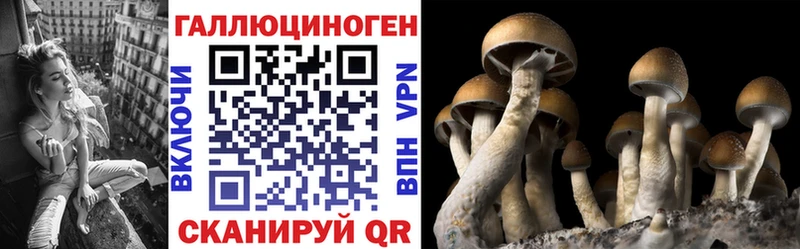 Галлюциногенные грибы мухоморы Кизилюрт