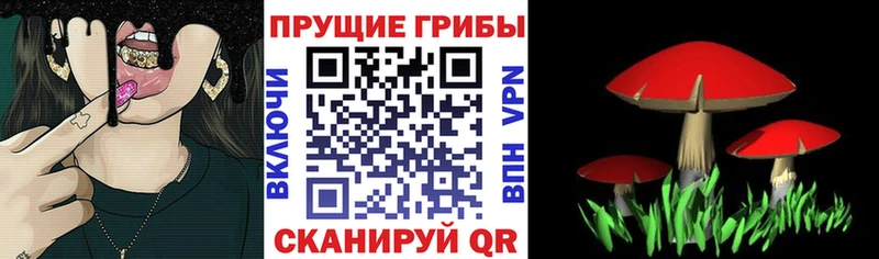 кракен зеркало  Кизилюрт  Псилоцибиновые грибы прущие грибы  купить  цена 