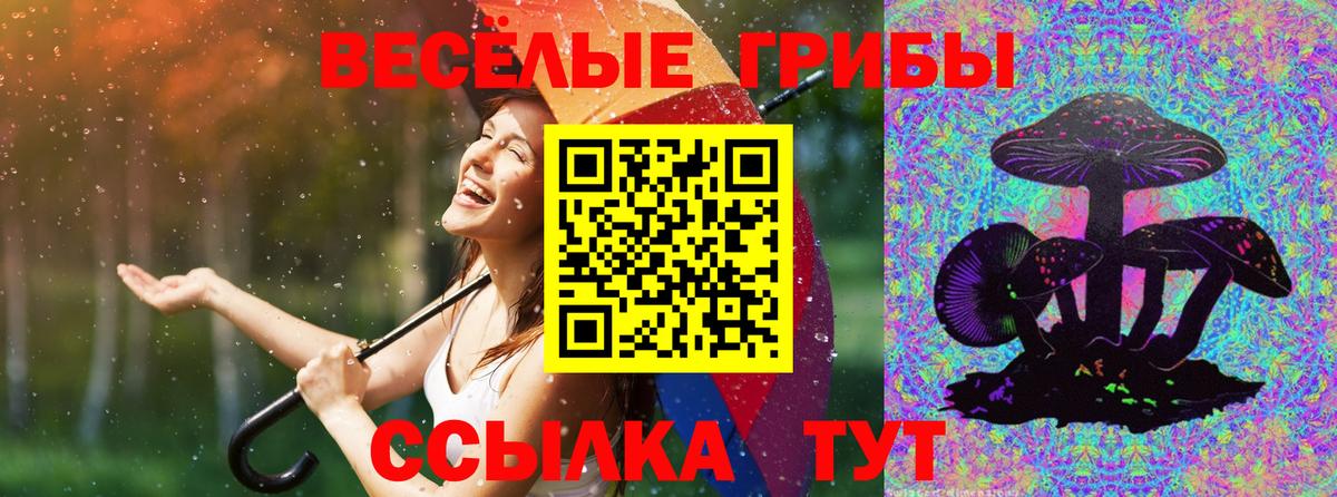 Галлюциногенные грибы мухоморы  Вход с VPN  Кизилюрт  даркнет сайт  Псилоцибиновые грибы MAGIC MUSHROOMS 